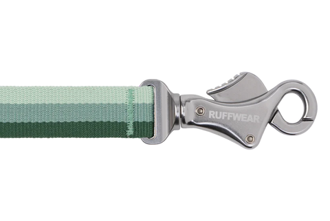 Dog leash with green strap and silver clasp on a white background