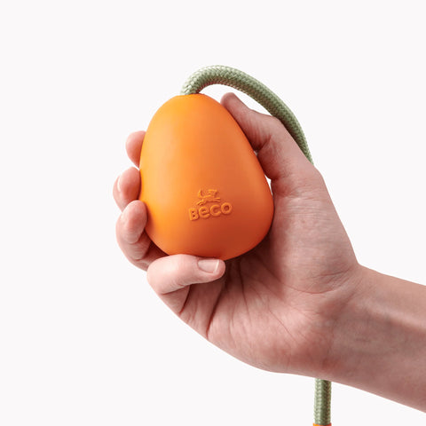 Egg On Rope For Throw, Fetch and Tug Dog Toy