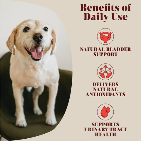 Urinary Cranberry for Dogs and Cats, 40 Servings