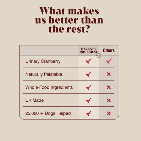 Urinary Cranberry for Dogs and Cats, 40 Servings
