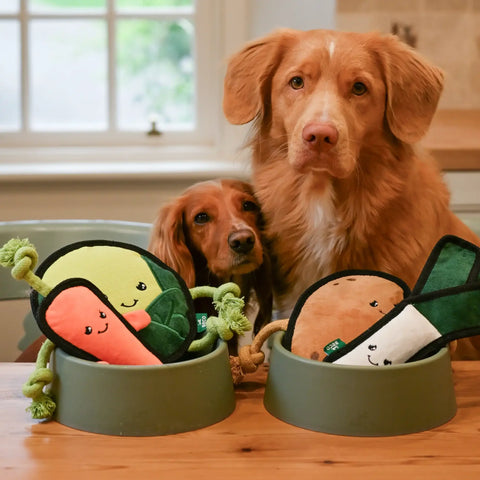 Two dogs with Beco's plush toys on a wooden table.