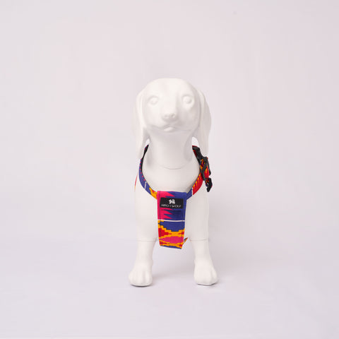 White dog model wearing a colorful Dakar harness on a light Grey background - Front view