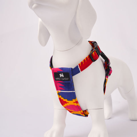 White dog model wearing a colorful Dakar harness on a light Grey background - Side view