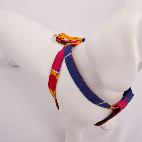 White dog model wearing a colorful Dakar harness on a light Grey background - top view