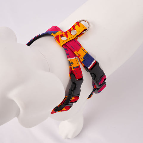 White dog model wearing a colorful Dakar harness on a light Grey background - Top view