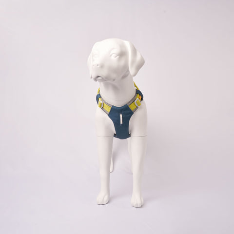 Hardwearing Alpha 360 Harness Deep Teal