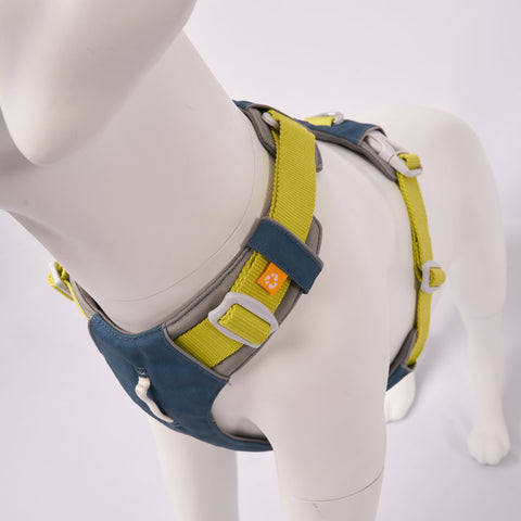 Hardwearing Alpha 360 Harness Deep Teal