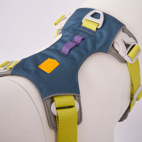 Close-up of a teal blue and neon harness on a white background