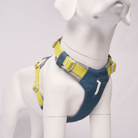 Blue and neon harness on a mannequin against a white background