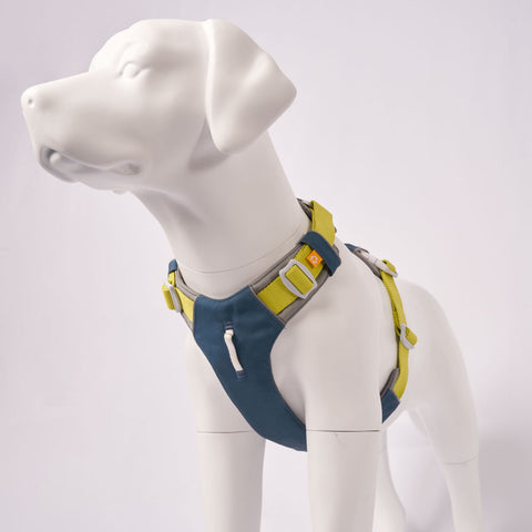 Dog harness on a mannequin with a white background