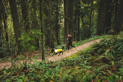 Ruffwear, Sun Shower Jacket, Mineral Yellow