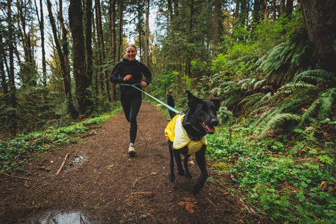 Ruffwear, Sun Shower Jacket, Mineral Yellow