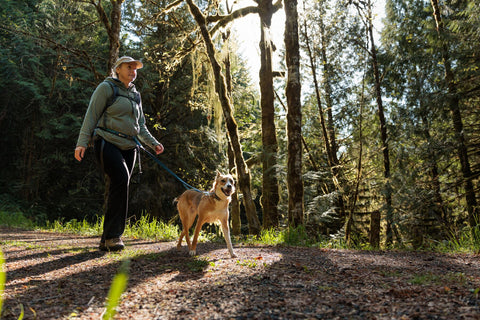 Ruffwear Roamer Dog Lead, River Rock Green