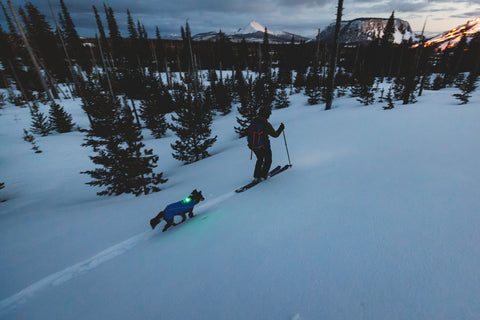 ruffwear the beacon dog ligh