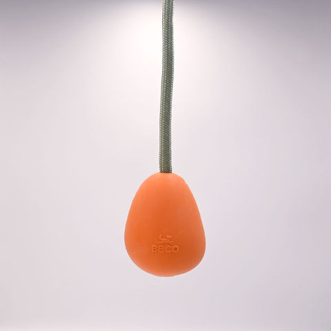Egg On Rope For Throw, Fetch and Tug Dog Toy