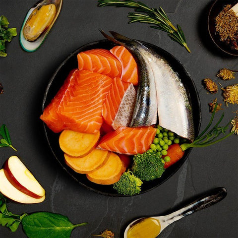 Canagan, Salmon & Herring Supper - Sparkly Tails