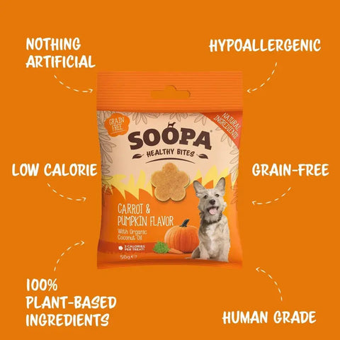 Carrot & Pumpkin Dog Treats - Sparkly Tails