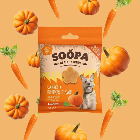 Carrot & Pumpkin Dog Treats - Sparkly Tails