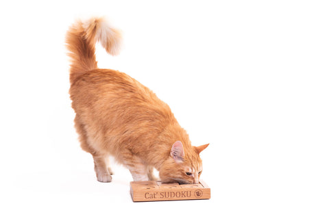 cat playing with details of box of Pet Sudoku Puzzle For Dogs and Cats, Medium Size