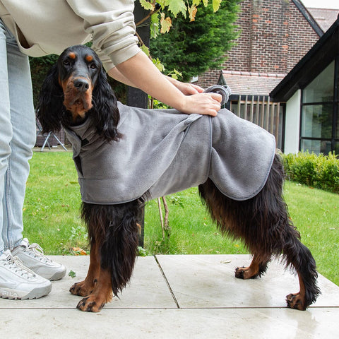 Expedition Deluxe Noodle & Microfibre Dog Drying Coat - Sparkly Tails