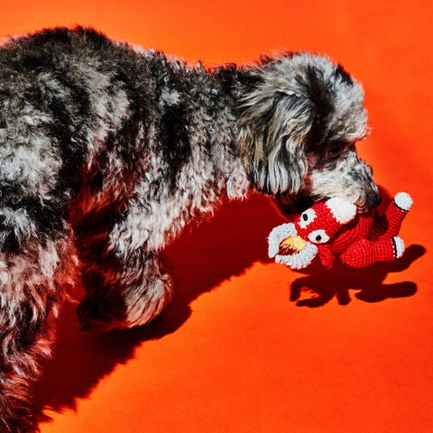 Hand Crochet Bull Dog Toy With Squeaker, Large - Sparkly Tails