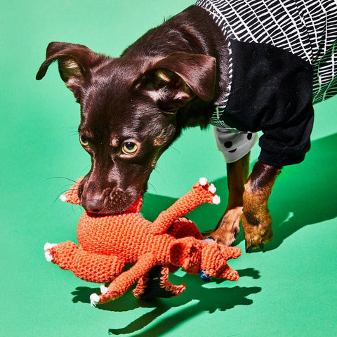 Hand Crochet Dragon Dog Toy With Squeaker, Large - Sparkly Tails