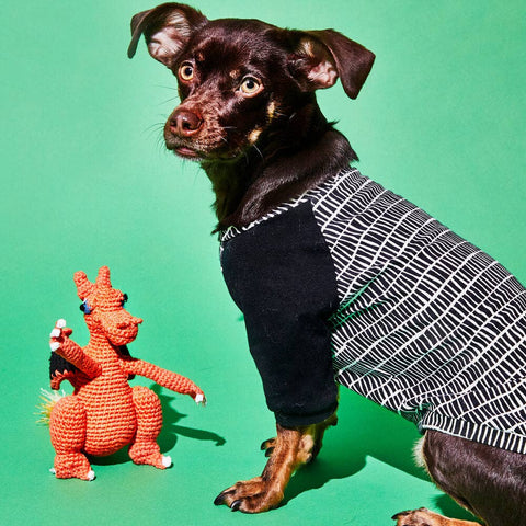 Hand Crochet Dragon Dog Toy With Squeaker, Large - Sparkly Tails