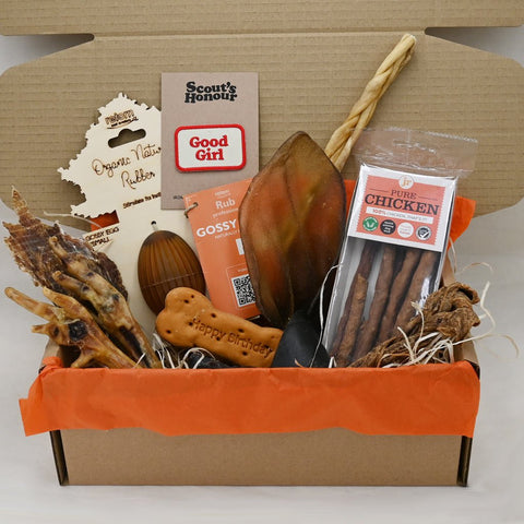 Happy Pooch Deluxe Birthday Box - Sparkly Tails