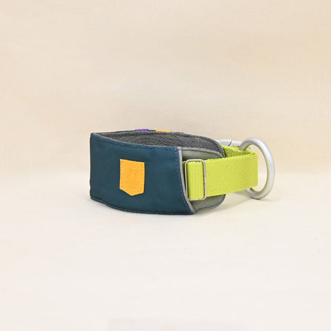 Hardwearing Alpha 360 Dog Collar, Deep Teal - Sparkly Tails