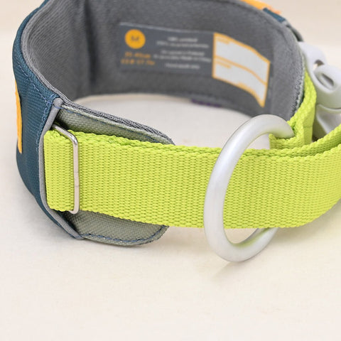 Hardwearing Alpha 360 Dog Collar, Deep Teal - Sparkly Tails