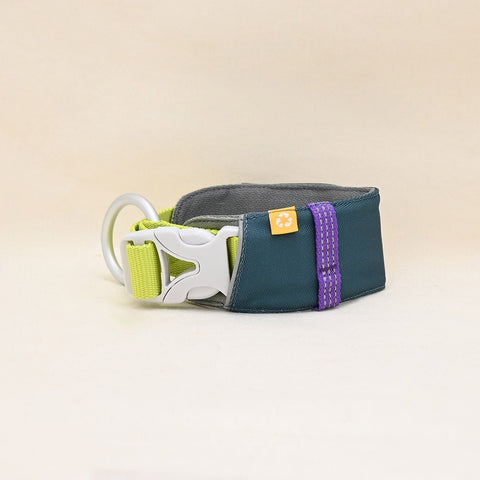 Hardwearing Alpha 360 Dog Collar, Deep Teal - Sparkly Tails
