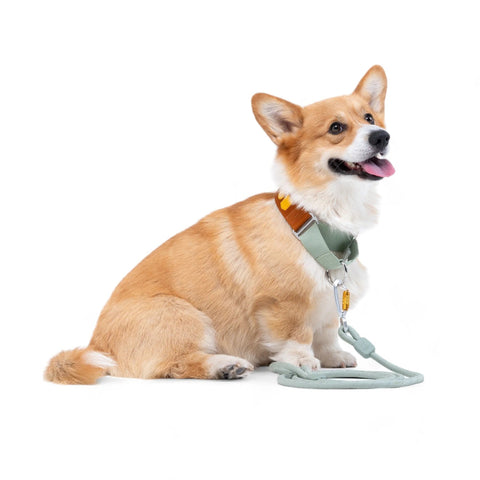 Martingale Collar, Terracotta Mix, Recycled Material - Sparkly Tails