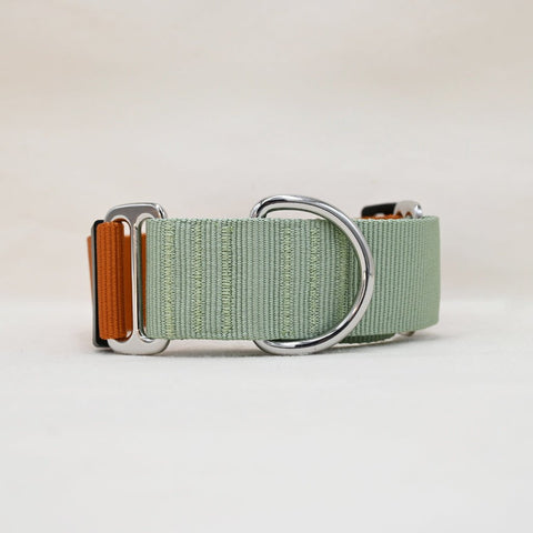 Martingale Collar, Terracotta Mix, Recycled Material - Sparkly Tails