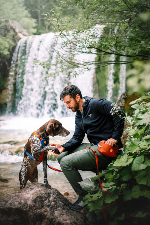 Multi - Functional Dog Walking Bum Bag, Recycled Material, Alpha 360, Terracotta Mix - Sparkly Tails