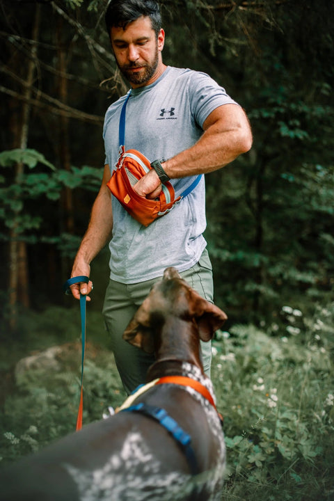 Multi - Functional Dog Walking Bum Bag, Recycled Material, Alpha 360, Terracotta Mix - Sparkly Tails