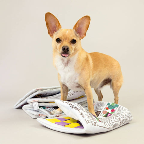 Newspaper Dog Portable Snuffle Mat - Sparkly Tails