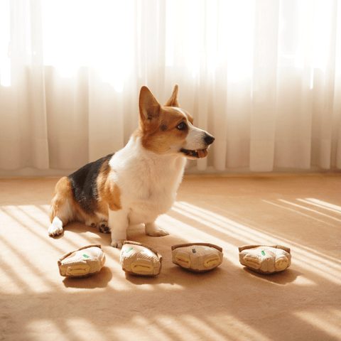 Pizza Enrichment Dog Toy - Sparkly Tails