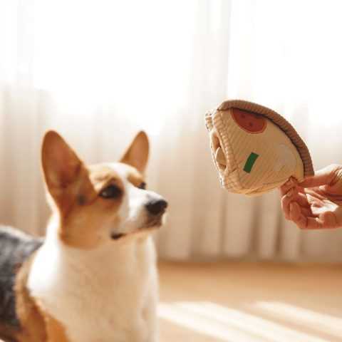 Pizza Enrichment Dog Toy - Sparkly Tails
