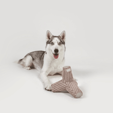 Breuer Enrichment Dog Toy - Sparkly Tails