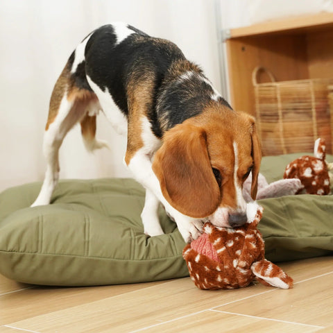 Fawn Pop Enrichment Dog Toy - Sparkly Tails