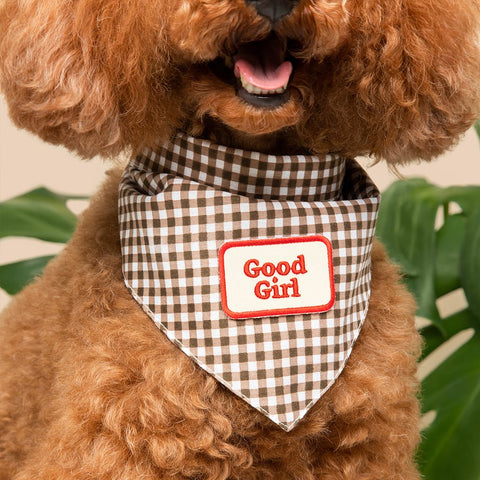Good Girl Iron-on Patch For Dogs - Sparkly Tails