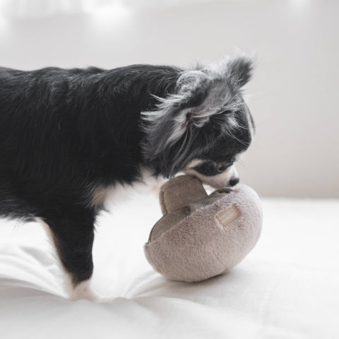 Guu Enrichment Dog Toy, Nosework - Sparkly Tails