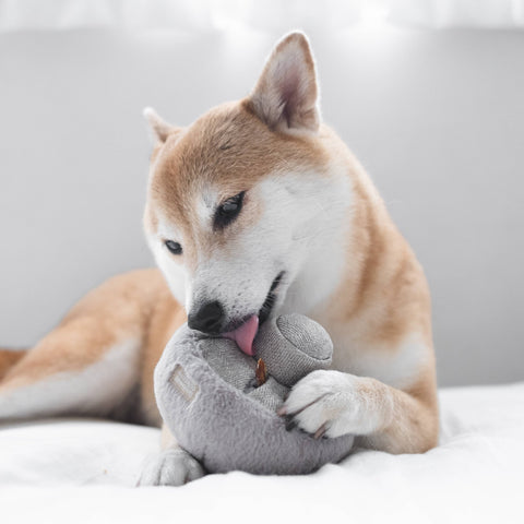 Guu Enrichment Dog Toy, Nosework - Sparkly Tails