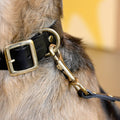 Handcrafted Leather Dog Collar, Black - Sparkly Tails