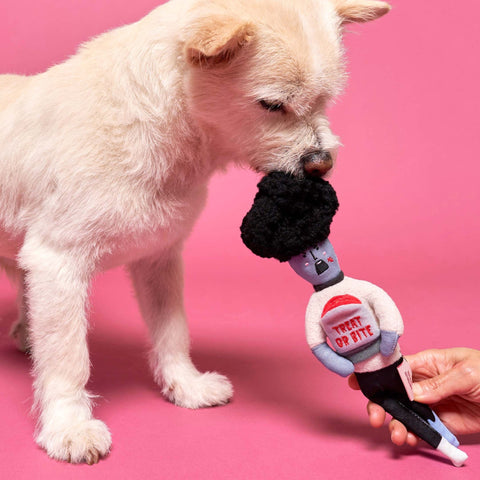 Interactive Toy, Zombie NoseWork - Sparkly Tails