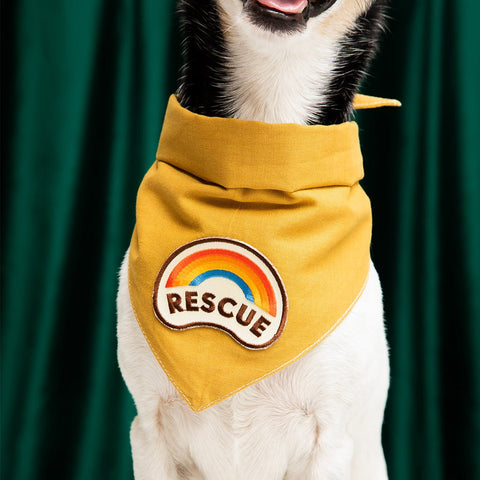 Rescue Iron-on Patch For Dogs - Sparkly Tails