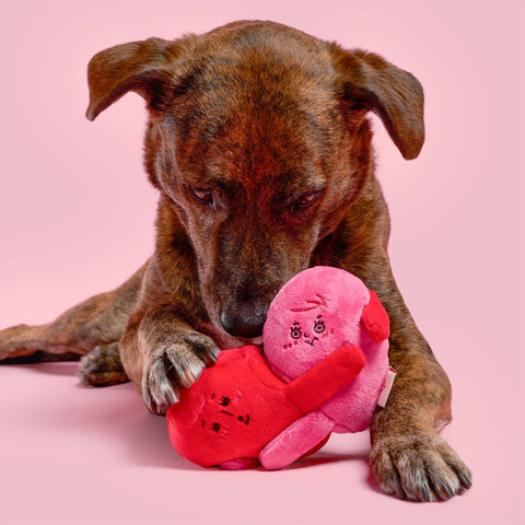 Love Locked Interactive Dog Toy
