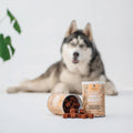 100% Natural Dog Treats for Joint & Mobility, Gizzls, 200g - Sparkly Tails