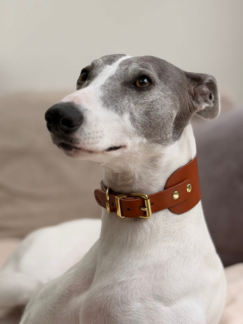 Handcrafted Hound Leather Dog Collar, Vackertass, Tan