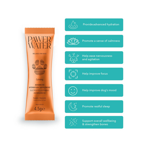 Orange package of Power Water for dogs with teal benefits listed on a white background